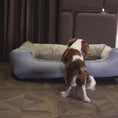 Load and play video in Gallery viewer, Coccopucci Icy Pebble Orthopedic Dog Bed
