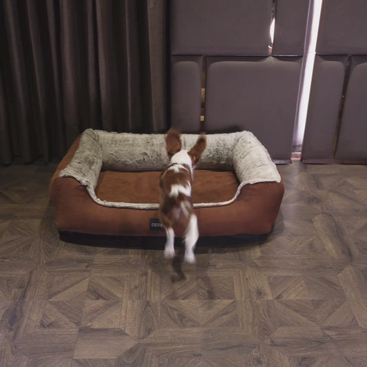Coccopucci Cinnamon Coudroy Orthopedic Dog Bed
