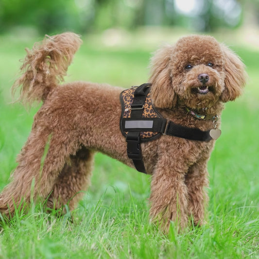 Coccopucci Comfsecure Dog Harness (Savannah Spots)
