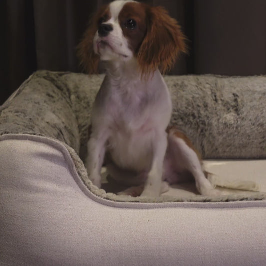 Coccopucci Pearl white Orthopedic Dog Bed