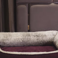Load and play video in Gallery viewer, Coccopucci Bordeaux Orthopedic Dog Bed
