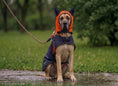 Load image into Gallery viewer, Coccopucci Tempesta  3 In 1 (Raincot+Harness+Jacket)
